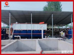 屠宰廠污水處理設備